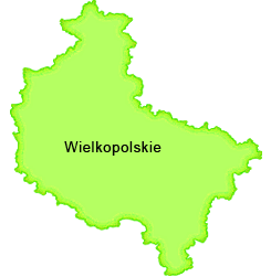 kolportaż ulotek Wielkopolskie